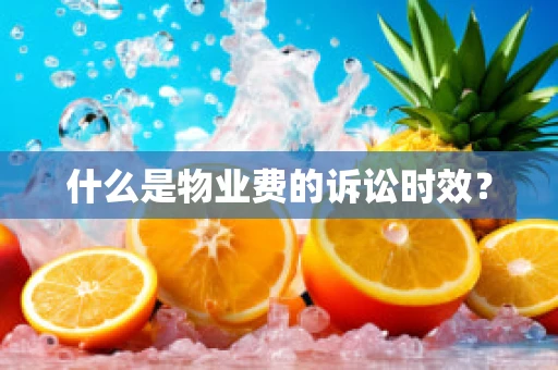 什么是物业费的诉讼时效？