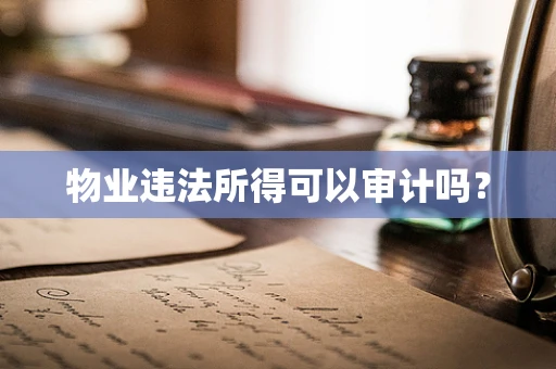 物业违法所得可以审计吗？