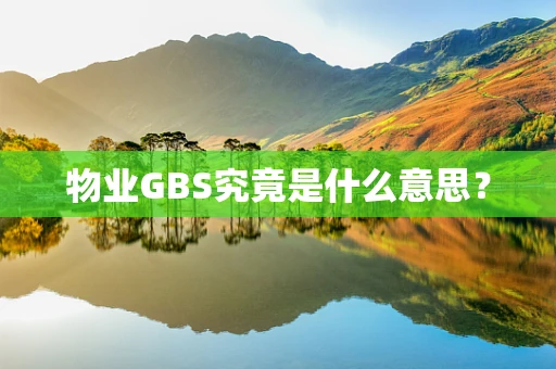 物业GBS究竟是什么意思？