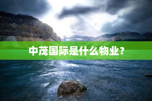 中茂国际是什么物业？