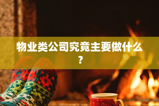 物业类公司究竟主要做什么？