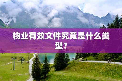 物业有效文件究竟是什么类型？