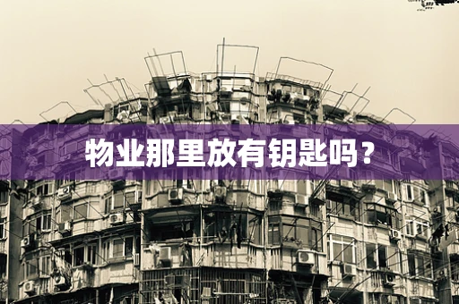 物业那里放有钥匙吗？