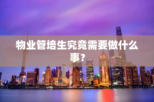 物业管培生究竟需要做什么事？