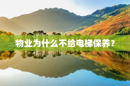 物业为什么不给电梯保养？