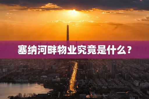 塞纳河畔物业究竟是什么？