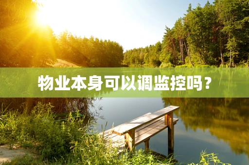 物业本身可以调监控吗？