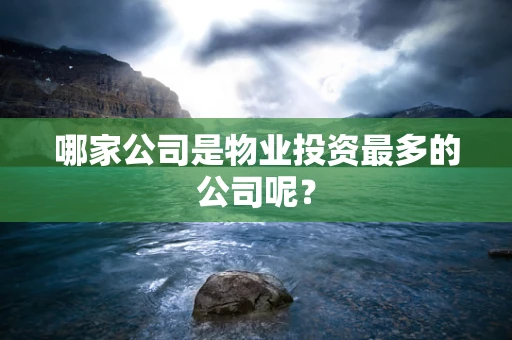 哪家公司是物业投资最多的公司呢？