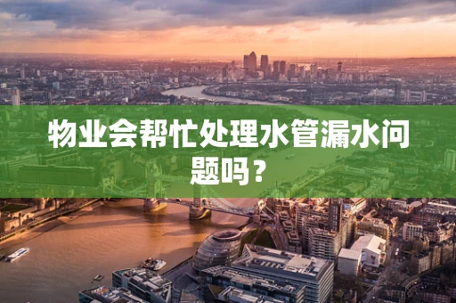 物业会帮忙处理水管漏水问题吗？