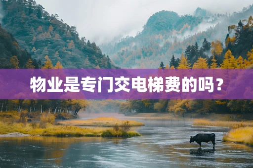 物业是专门交电梯费的吗？