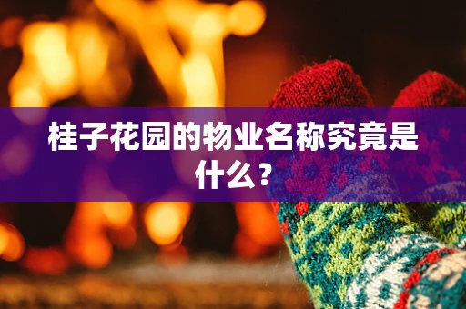 桂子花园的物业名称究竟是什么？