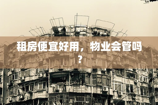 租房便宜好用，物业会管吗？