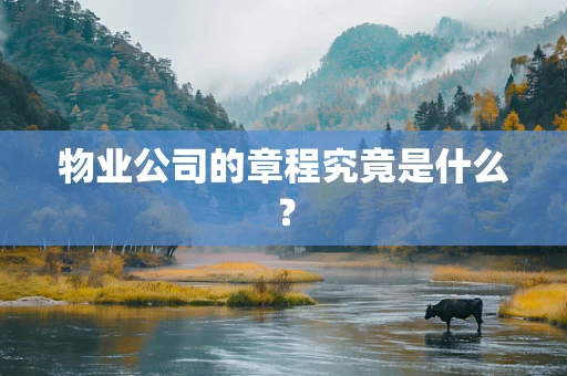 物业公司的章程究竟是什么？