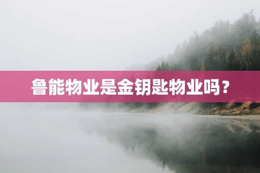 鲁能物业是金钥匙物业吗？