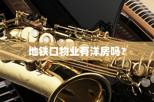 地铁口物业有洋房吗？