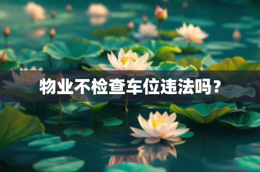 物业不检查车位违法吗？
