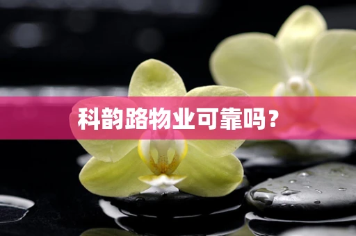 科韵路物业可靠吗？