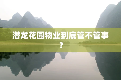 潜龙花园物业到底管不管事？