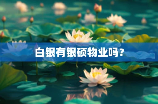 白银有银硕物业吗？