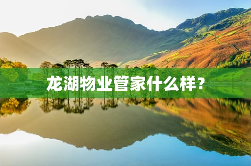 龙湖物业管家什么样？