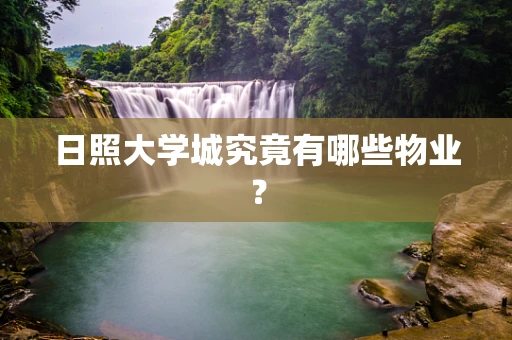 日照大学城究竟有哪些物业？