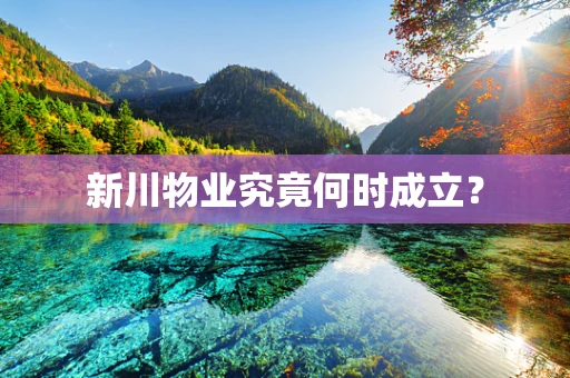新川物业究竟何时成立？