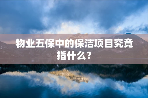 物业五保中的保洁项目究竟指什么？