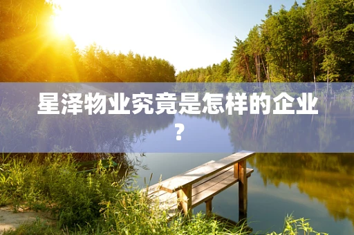 星泽物业究竟是怎样的企业？