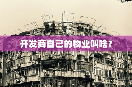 开发商自己的物业叫啥？