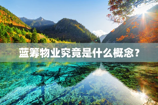 蓝筹物业究竟是什么概念？