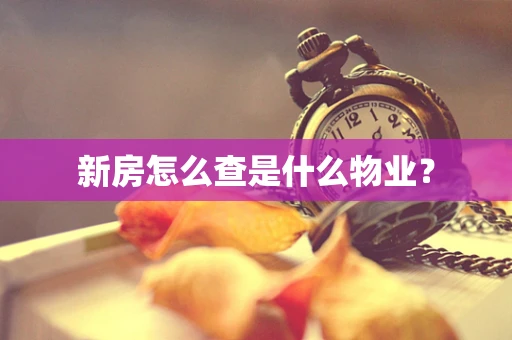 新房怎么查是什么物业？
