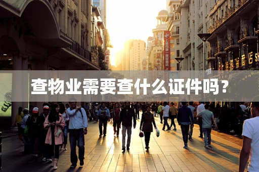 查物业需要查什么证件吗？