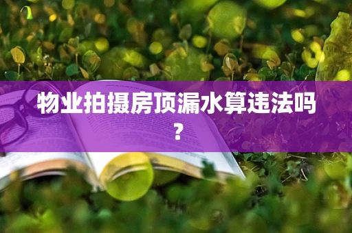 物业拍摄房顶漏水算违法吗？