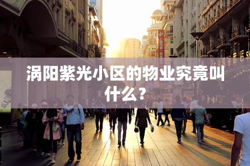 涡阳紫光小区的物业究竟叫什么？