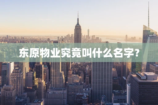 东原物业究竟叫什么名字？