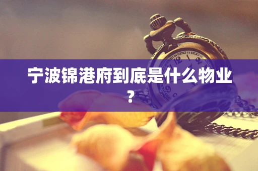 宁波锦港府到底是什么物业？