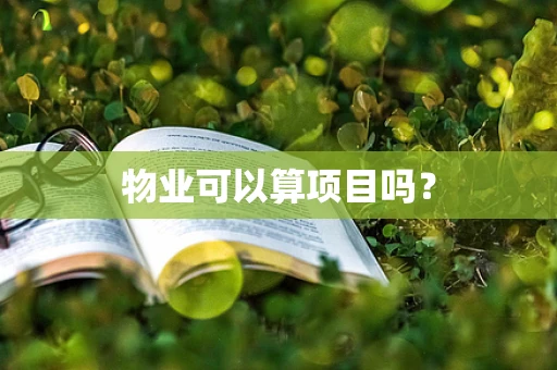 物业可以算项目吗？