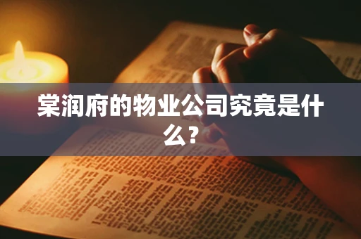 棠润府的物业公司究竟是什么？