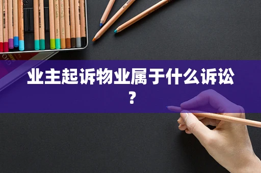 业主起诉物业属于什么诉讼？
