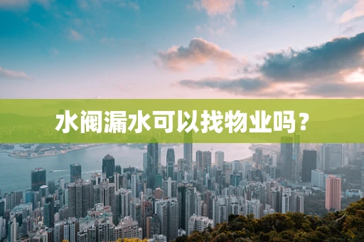 水阀漏水可以找物业吗？