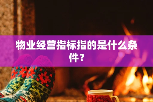 物业经营指标指的是什么条件？