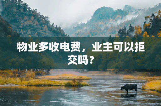 物业多收电费，业主可以拒交吗？