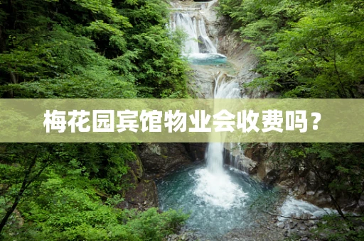 梅花园宾馆物业会收费吗？