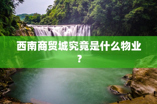 西南商贸城究竟是什么物业？