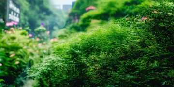 万科物业现在正在招聘吗？