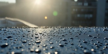 屋顶露水物业到底该不该负责？