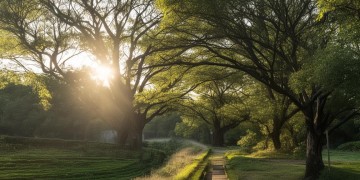 澜庭府锦苑究竟是什么物业？