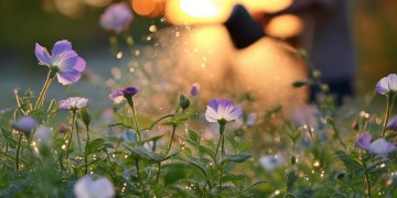 物业用污水浇花违法吗？