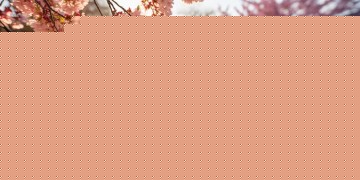 春晓苑物业现在到底管事吗？