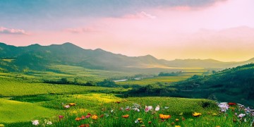 湖南碧桂园物业究竟叫什么？